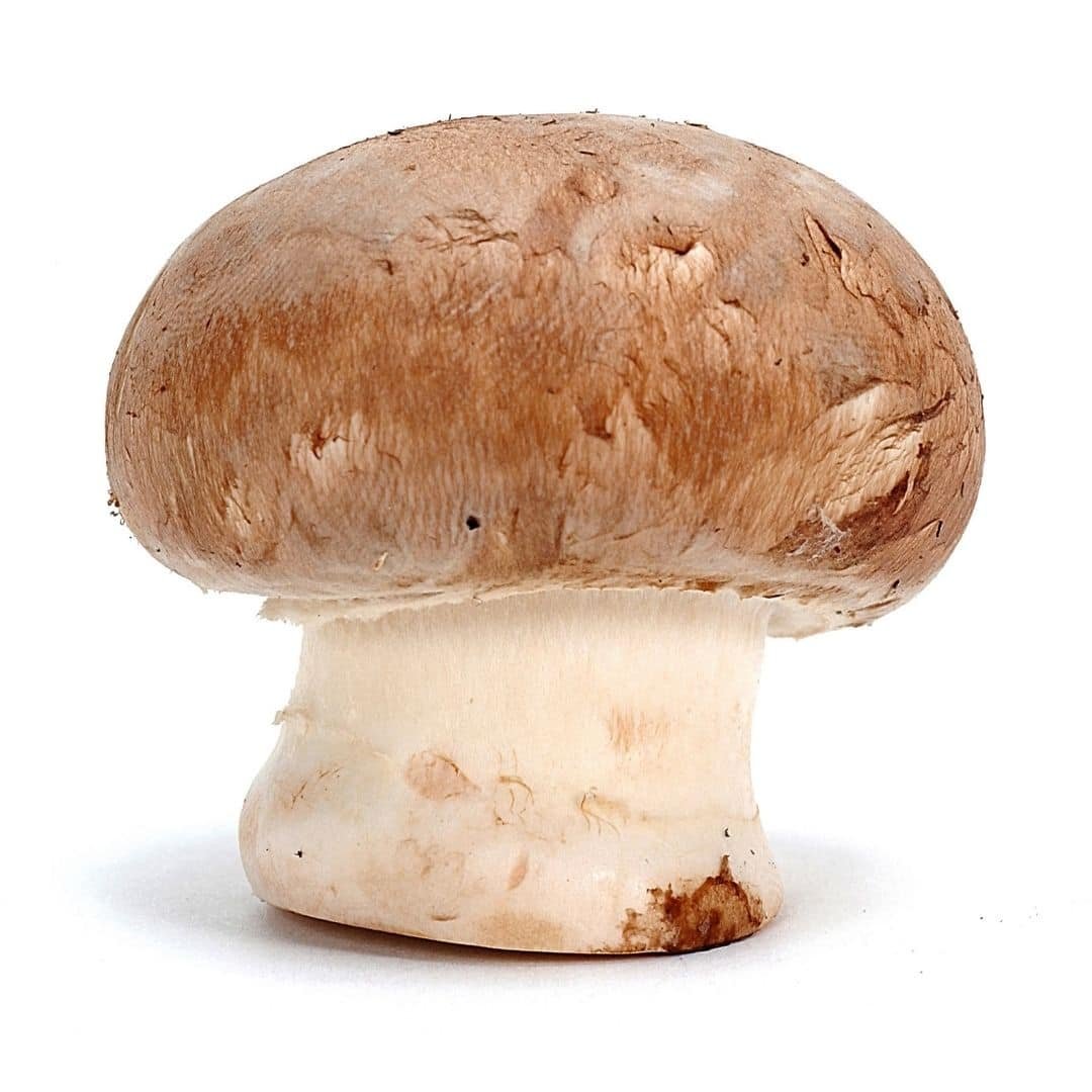 Steinpilze (1 Kg Holzkiste)PilzeGemüseProdukteMy Fresh Farm Obst & Gemüse Lieferservice