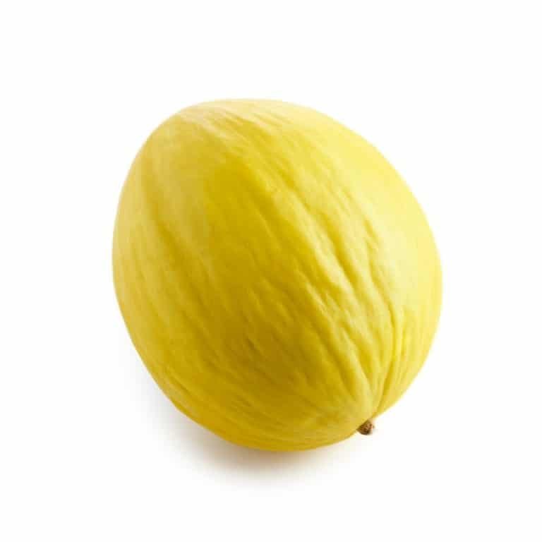 Honigmelone Exoten Obst Produkte Vitamintaxi Fruits4u