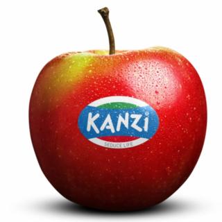 Apfel Delbar