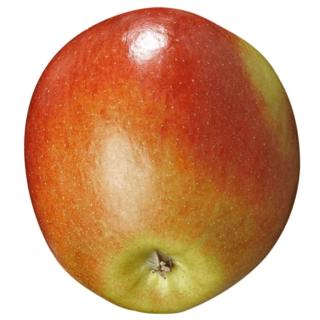 Apfel Braeburn
