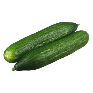 Vierländer Mini Gurke